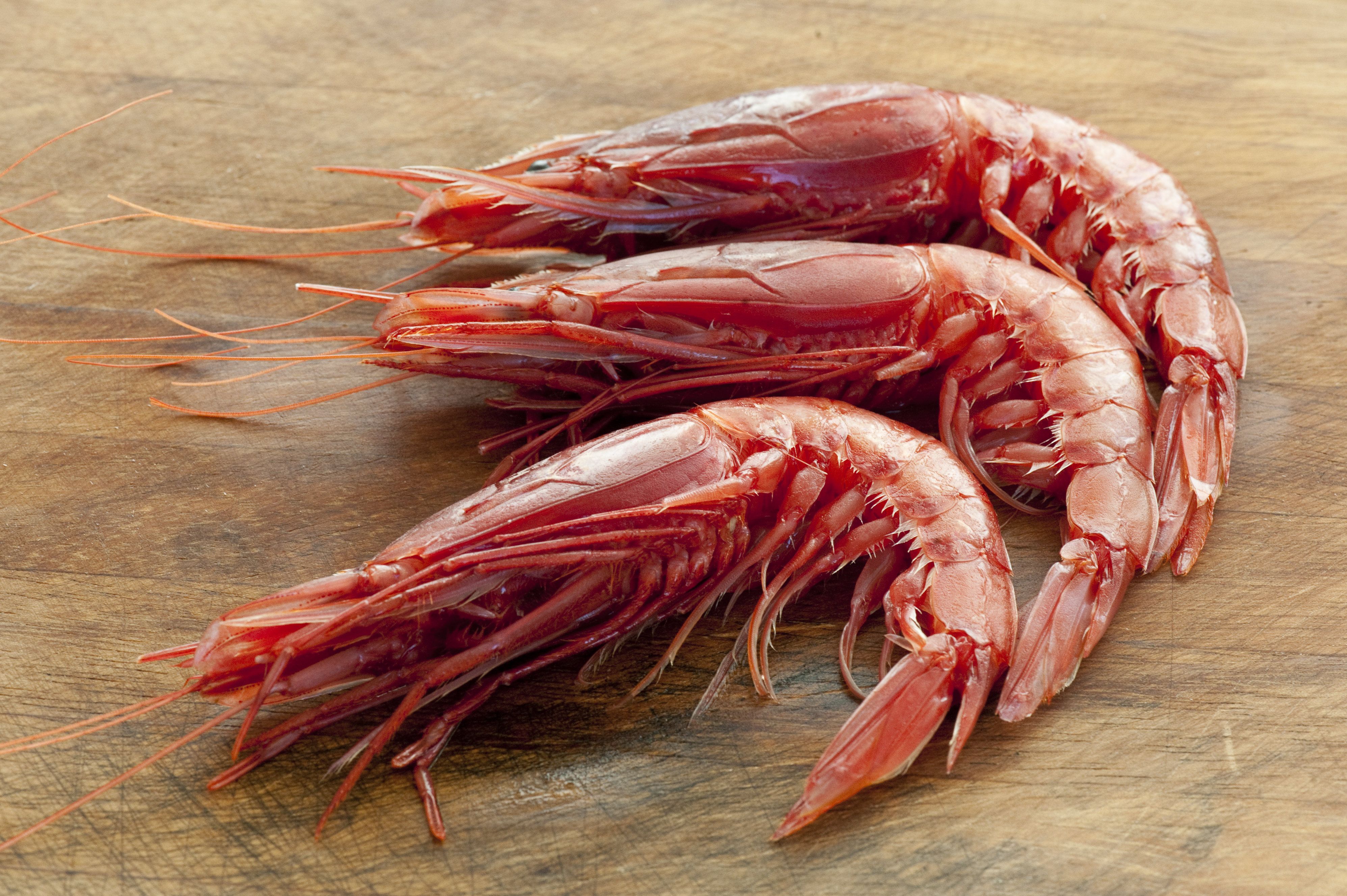 Prawns
